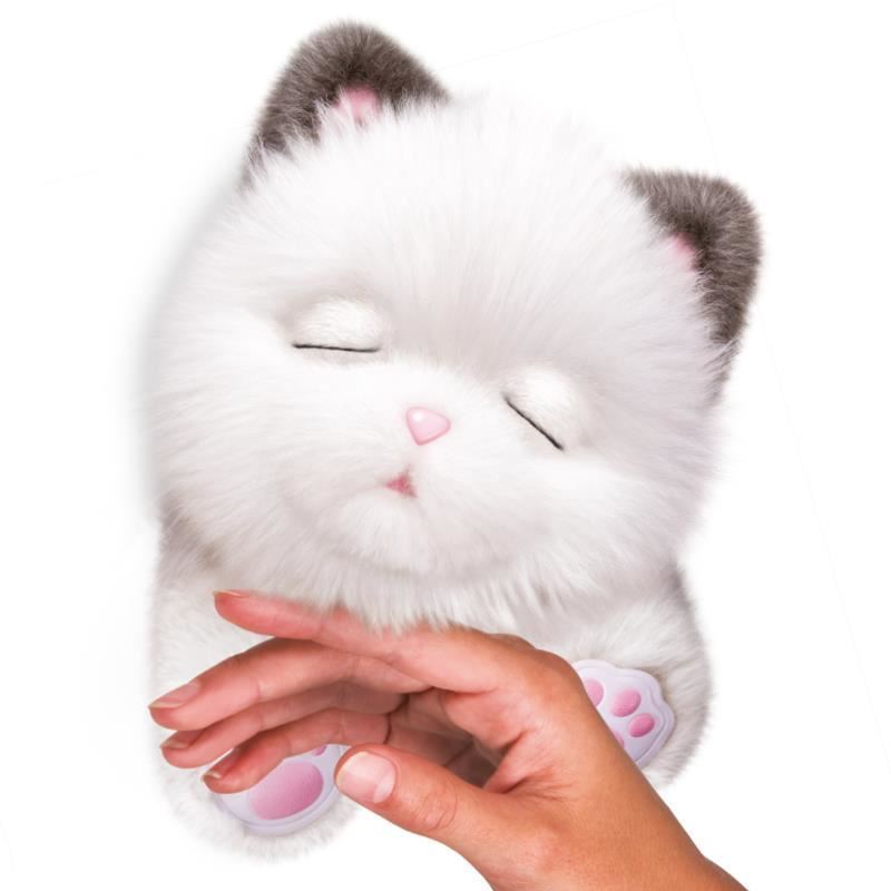 little live pets kitten