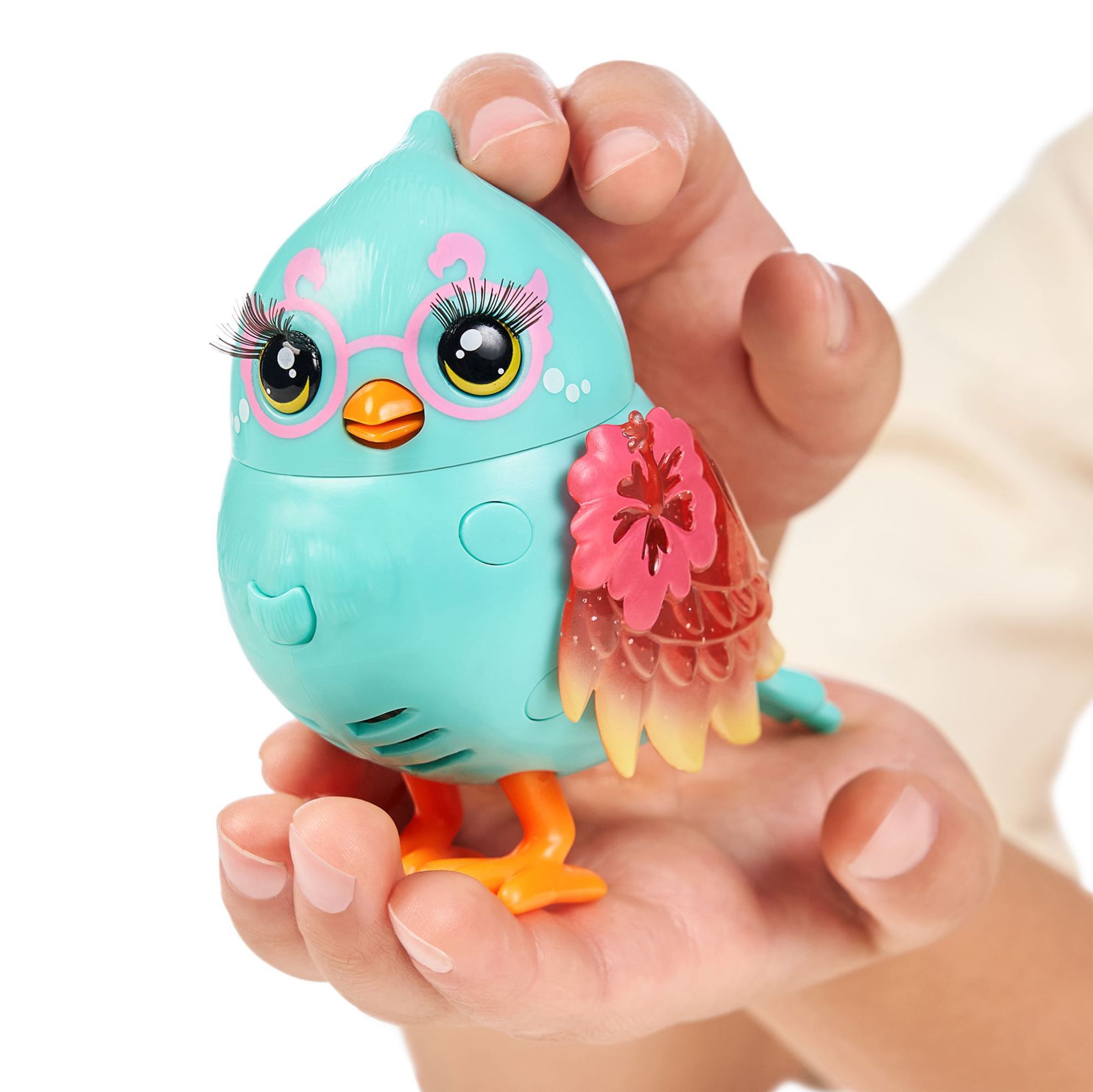 Little live bird sales