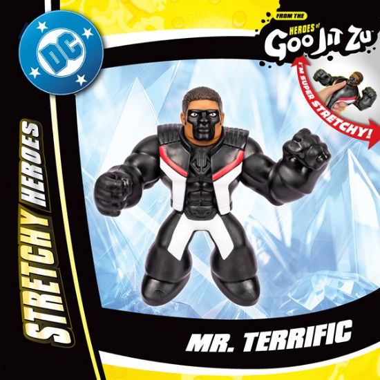 Heroes of Goo Jit Zu DC Hero Pack-Mr Terrific-43075